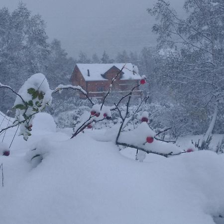 Chalet Bois Au Milieu Des Pyrenees LʼHospitalet-près-lʼAndorre Eksteriør billede