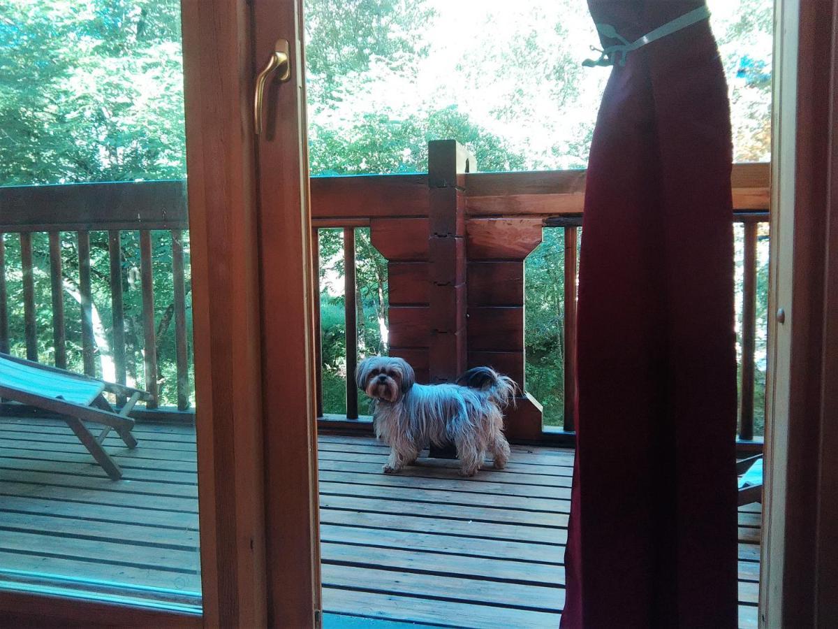 Chalet Bois Au Milieu Des Pyrenees LʼHospitalet-près-lʼAndorre Eksteriør billede