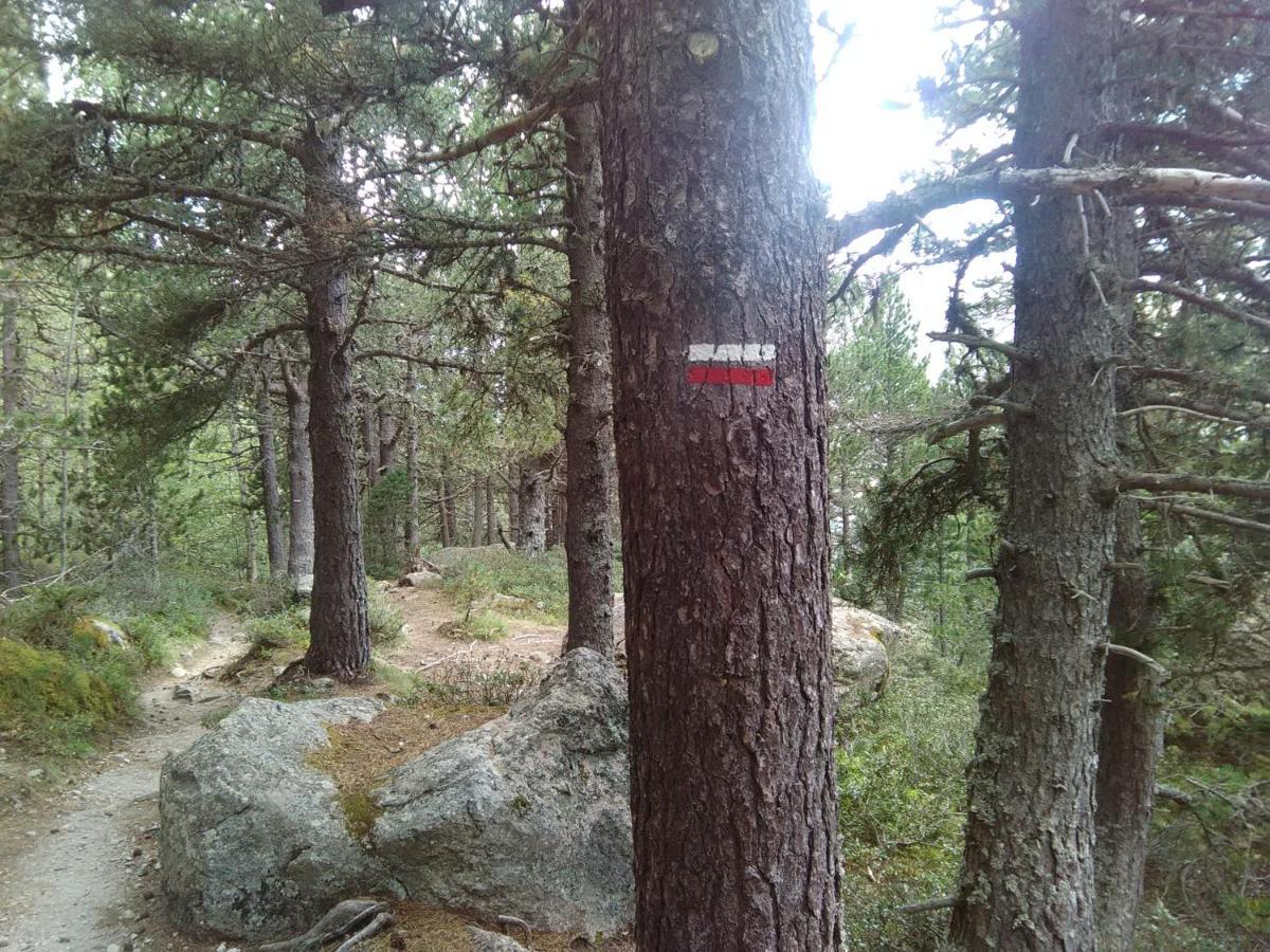 Chalet Bois Au Milieu Des Pyrenees LʼHospitalet-près-lʼAndorre Eksteriør billede